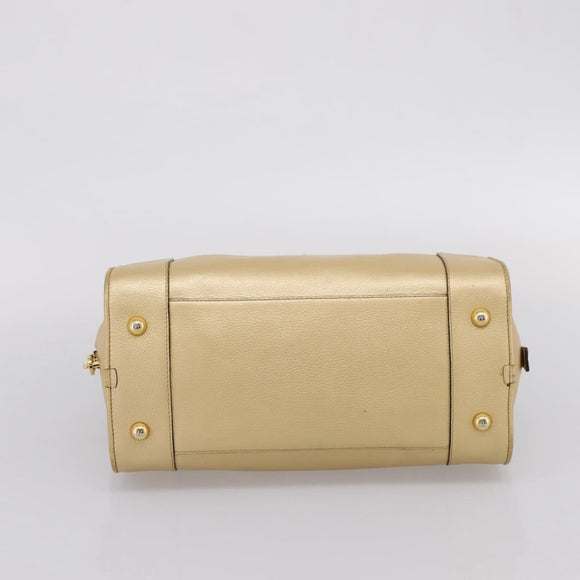 LOEWE Amazona 32 Hand Bag Leather Gold Auth 207798A