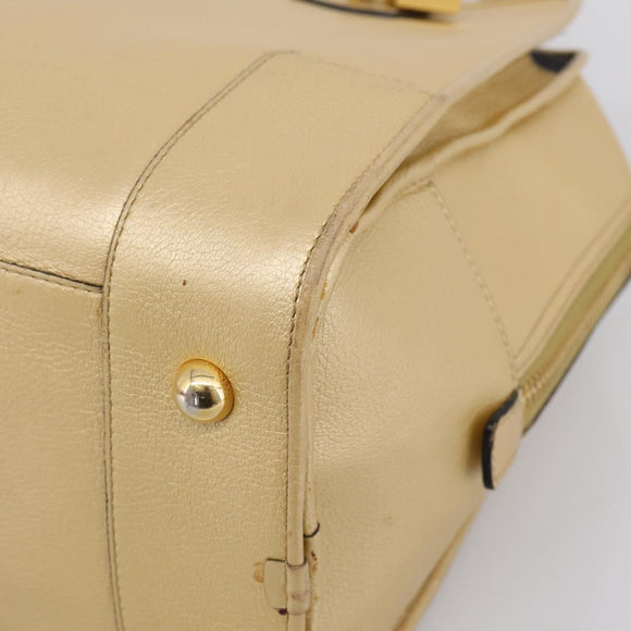 LOEWE Amazona 32 Hand Bag Leather Gold Auth 207798A