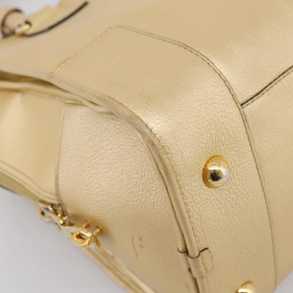 LOEWE Amazona 32 Hand Bag Leather Gold Auth 207798A