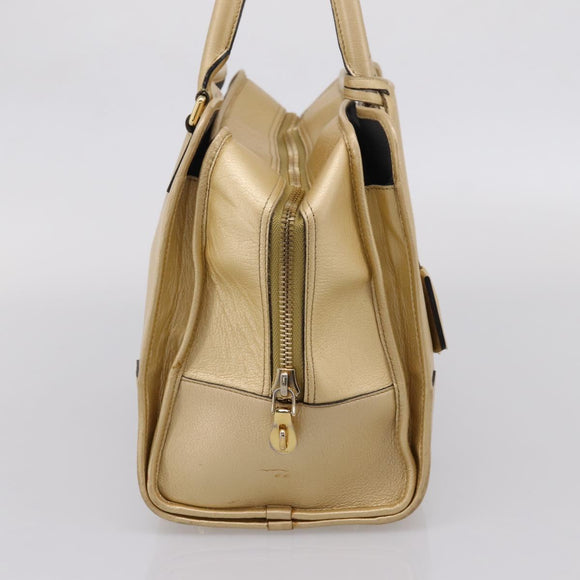 LOEWE Amazona 32 Hand Bag Leather Gold Auth 207798A