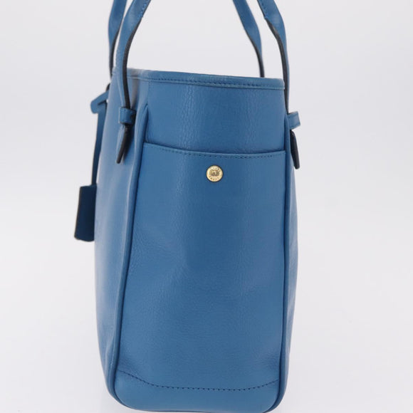 LOEWE Tote Bag Leather Gold Blue Auth 207812A