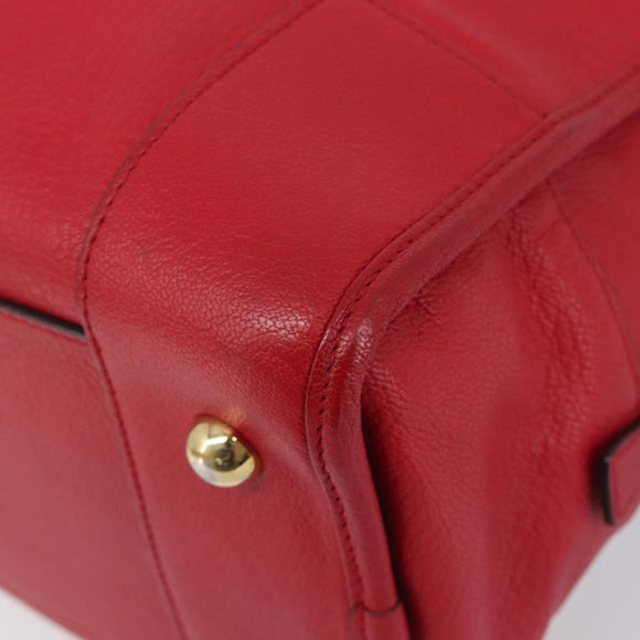LOEWE Amazona 36 Hand Bag Leather Red Gold Auth 207843