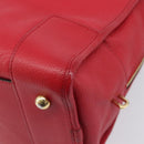 LOEWE Amazona 36 Hand Bag Leather Red Gold Auth 207843-12