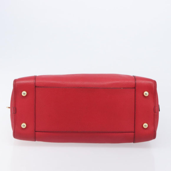 LOEWE Amazona 36 Hand Bag Leather Red Gold Auth 207843