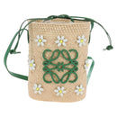 LOEWE Shoulder Bag Raffia Beige Green Auth 207914M-2