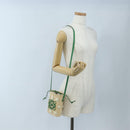 LOEWE Shoulder Bag Raffia Beige Green Auth 207914M-24