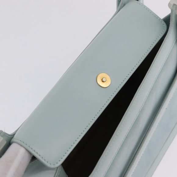 LOEWE Hand Bag Suede Light Blue Gold Auth 208276A