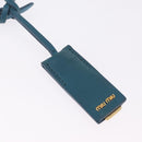 Miu Miu Madras Accessory Pouch Leather Light Blue Gold Auth 208282A-16