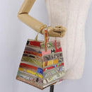 HERMES Hand Bag Vinyl Louvre Museum Limited Multicolor Auth 208295A-18