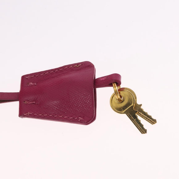 PRADA Chain Shoulder Bag Nylon Pink Gold Auth 208300A