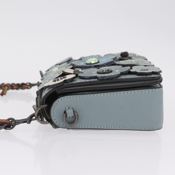 Coach Shoulder Bag Leather Blue Auth 208360A