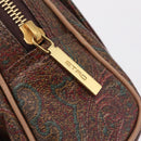 ETRO Hand Bag PVC Canvas Brown Gold Auth 208375V-14