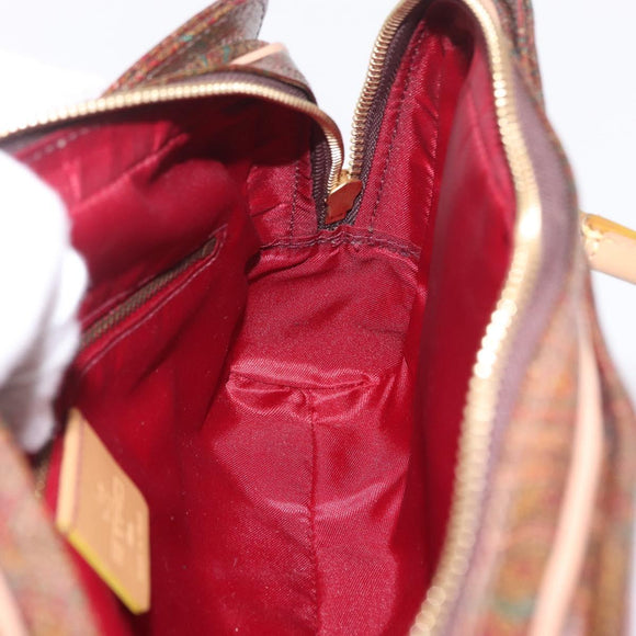 ETRO Hand Bag PVC Canvas Brown Gold Auth 208375V