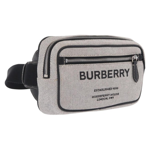 BURBERRY Body Bag Canvas Gray Silver Auth 208431A