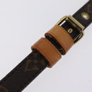 LOUIS VUITTON Monogram Danube Shoulder Bag M45266 LV Auth 208509V-12