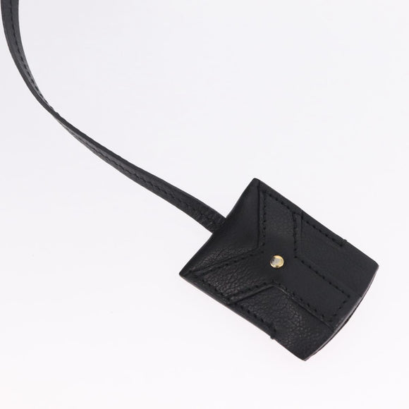 Saint Laurent Muse Hand Bag Leather Black Gold Tone 156464 Auth 208511A
