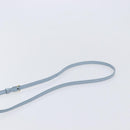 CELINE Triomphe Shoulder Bag Leather Light Blue Gold Auth 208602SAM-10