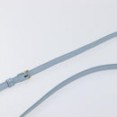 CELINE Triomphe Shoulder Bag Leather Light Blue Gold Auth 208602SAM-12