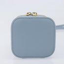 CELINE Triomphe Shoulder Bag Leather Light Blue Gold Auth 208602SAM-13