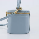 CELINE Triomphe Shoulder Bag Leather Light Blue Gold Auth 208602SAM-4