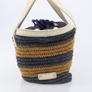 BURBERRY Blue Label Hand Bag straw Beige Gold Auth 208698A-4