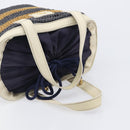 BURBERRY Blue Label Hand Bag straw Beige Gold Auth 208698A-7