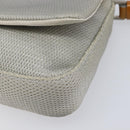 PRADA PRADA Sports Shoulder Bag Nylon Gray Silver Auth 208699A-15