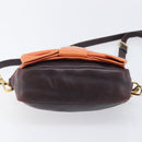 PRADA Shoulder Bag Leather Brown Gold Auth 208810-5