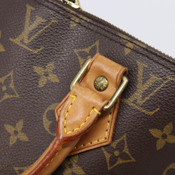 LOUIS VUITTON Monogram Alma PM Hand Bag M53151 LV Auth 208821