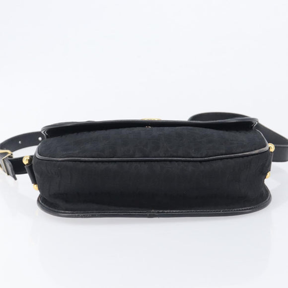 Christian Dior Trotter Canvas Shoulder Bag Black Gold Tone Auth 208865