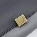 CELINE Trapeze Medium Hand Bag Leather Gray Gold Tone Auth 209242A-18