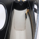 BURBERRY Hand Bag Canvas 2way White Black Auth 209256V-25