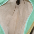 Bottega Veneta INTRECCIATO Tote Bag Harako leather Green Gold Auth 209434A-24