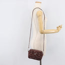 PRADA Chain Shoulder Bag Canvas Brown Silver Auth 209497A-25