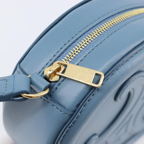 CELINE Triomphe Shoulder Bag Leather Light Blue Gold Tone Auth 209669M