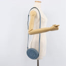 CELINE Triomphe Shoulder Bag Leather Light Blue Gold Tone Auth 209669M-24