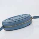 CELINE Triomphe Shoulder Bag Leather Light Blue Gold Tone Auth 209669M-6