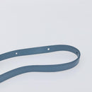 CELINE Triomphe Shoulder Bag Leather Light Blue Gold Tone Auth 209669M-9