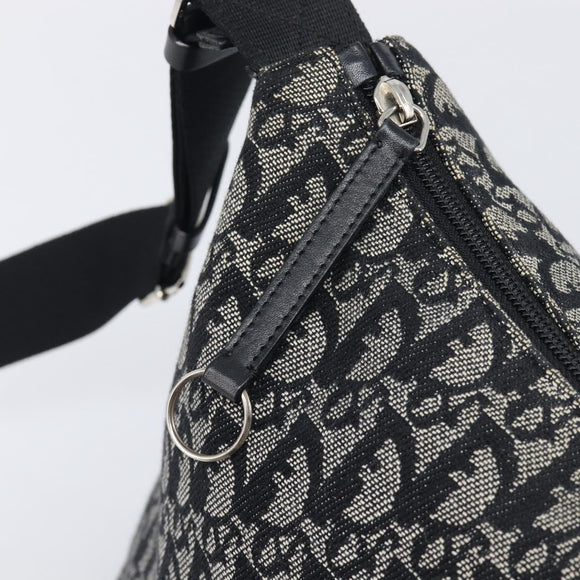 Christian Dior Trotter Canvas Shoulder Bag Gray Silver Auth 209859V