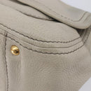 PRADA Chain Shoulder Bag Vittero Dino Leather Beige Gold Auth 209990A-11