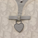Christian Dior Trotter Canvas Romantic Shoulder Bag PVC White Silver Auth 210088-17