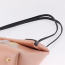 LOUIS VUITTON Sac Triangle Limited Edition PM Bag Leather Pink LV Auth 210370M-8