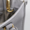 Miu Miu Hand Bag Vittero Dino Leather 2way Light Blue Gold Auth 210614M-26