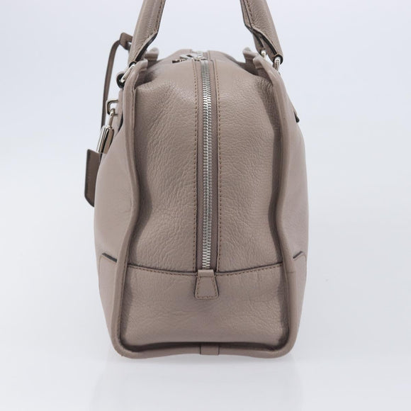 LOEWE Amazona 36 Hand Bag Leather Purple Gray Auth 210640A