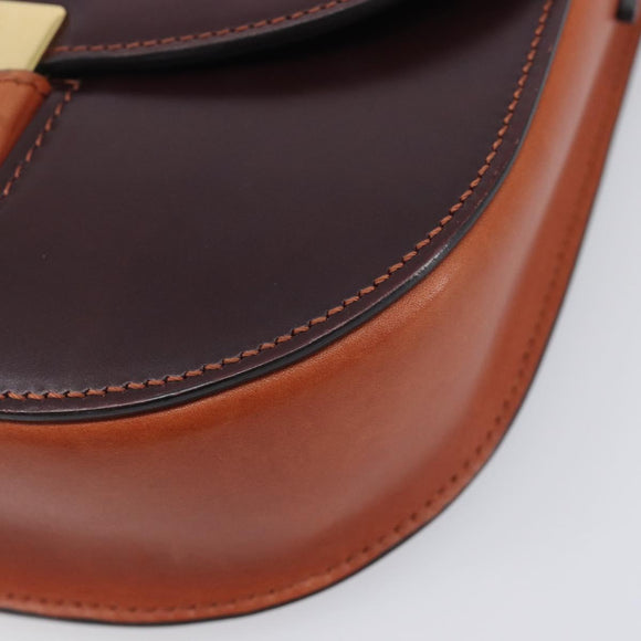CELINE Trotter Shoulder Bag Leather Brown Gold Auth 210944A