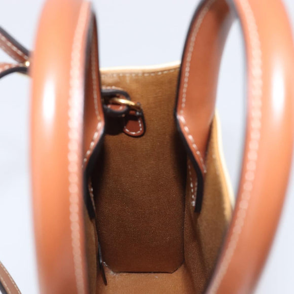CELINE Triomphe Mini Vertical Cabas Hand Bag PVC 2way Ivory Gold Auth 211067V