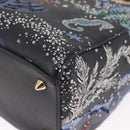 Christian Dior Lady Dior Hand Bag Leather 2way Black Gold Auth 211318SM-17