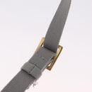 Christian Dior Trotter Canvas saddle Body Bag Gray Gold Tone Auth 211556V-10