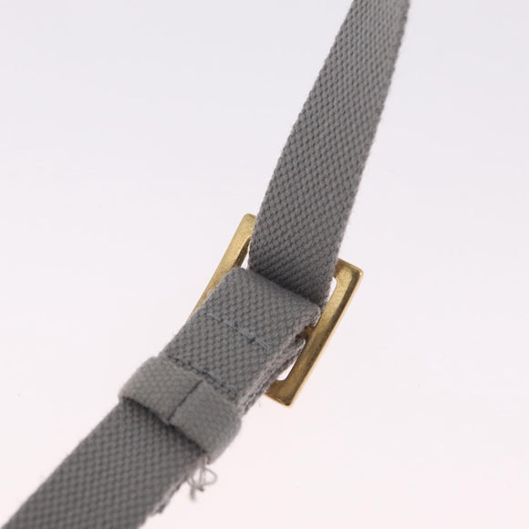 Christian Dior Trotter Canvas saddle Body Bag Gray Gold Tone Auth 211556V