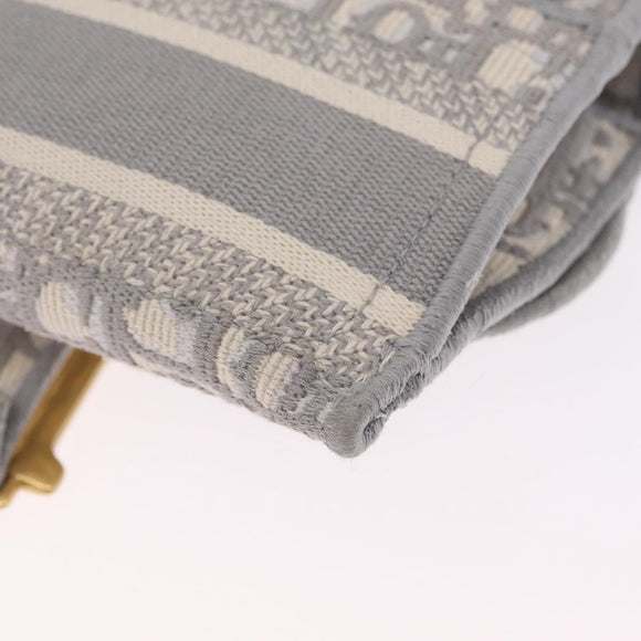 Christian Dior Trotter Canvas saddle Body Bag Gray Gold Tone Auth 211556V